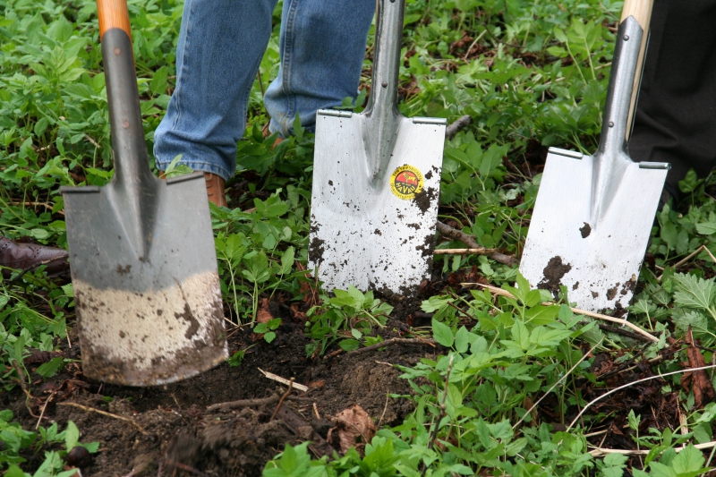 pepiniere-LE LAVANDOU-min_work-lawn-flower-tool-green-backyard-1103633-pxhere.com